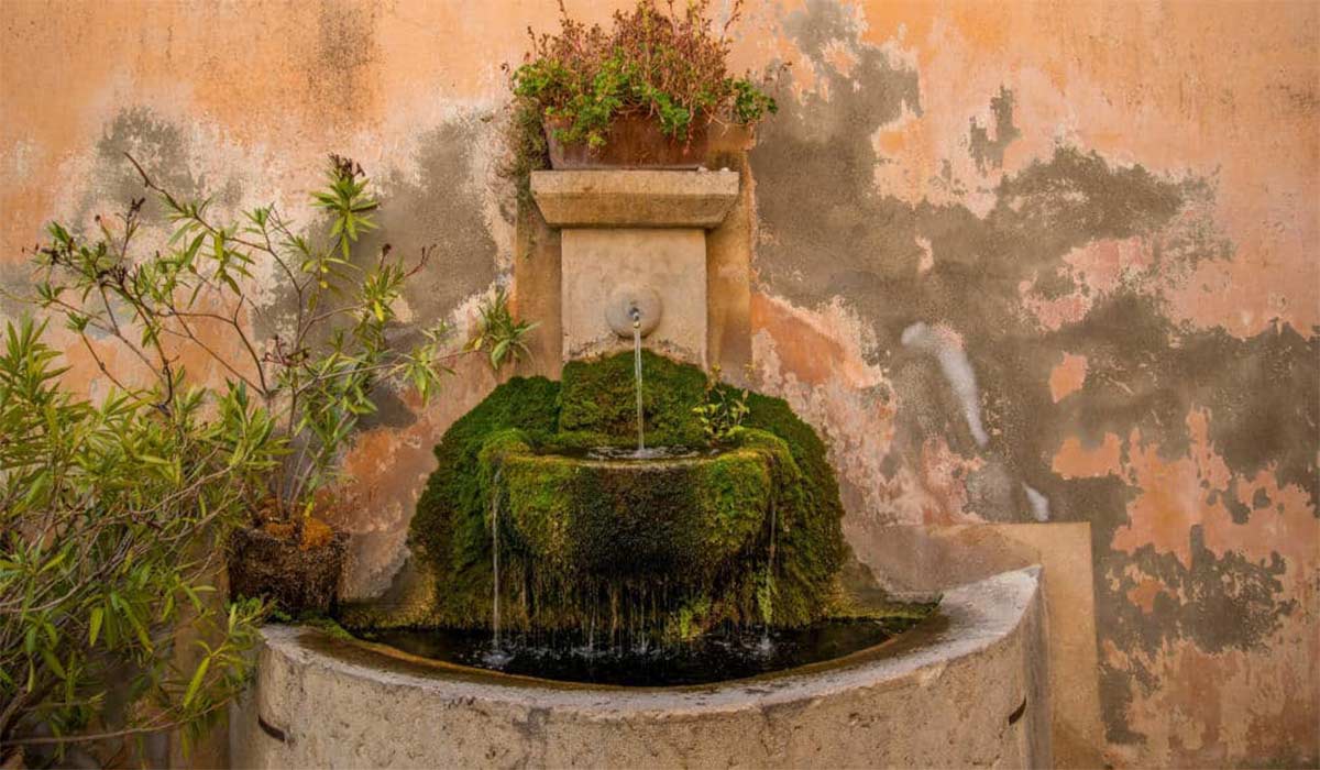 استفاده از خزه در آبنما