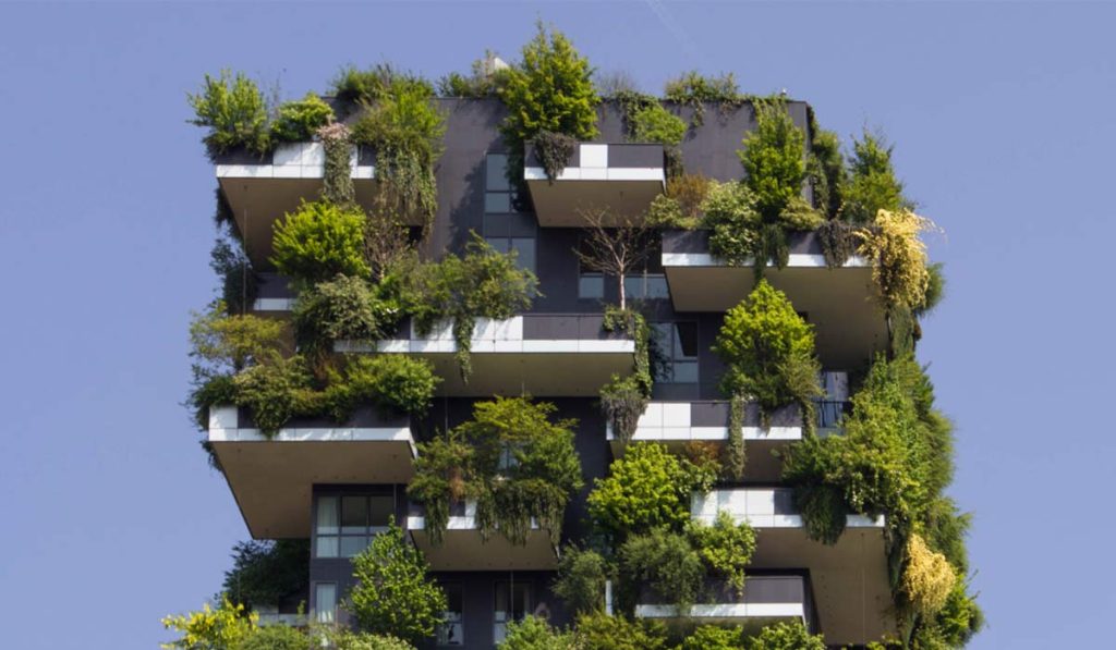 طراحی بیوفیلیک چیست