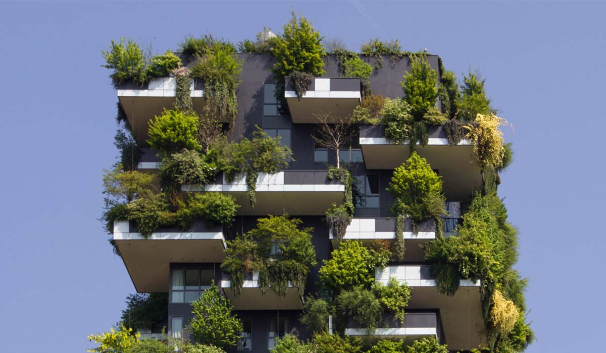 طراحی بیوفیلیک چیست