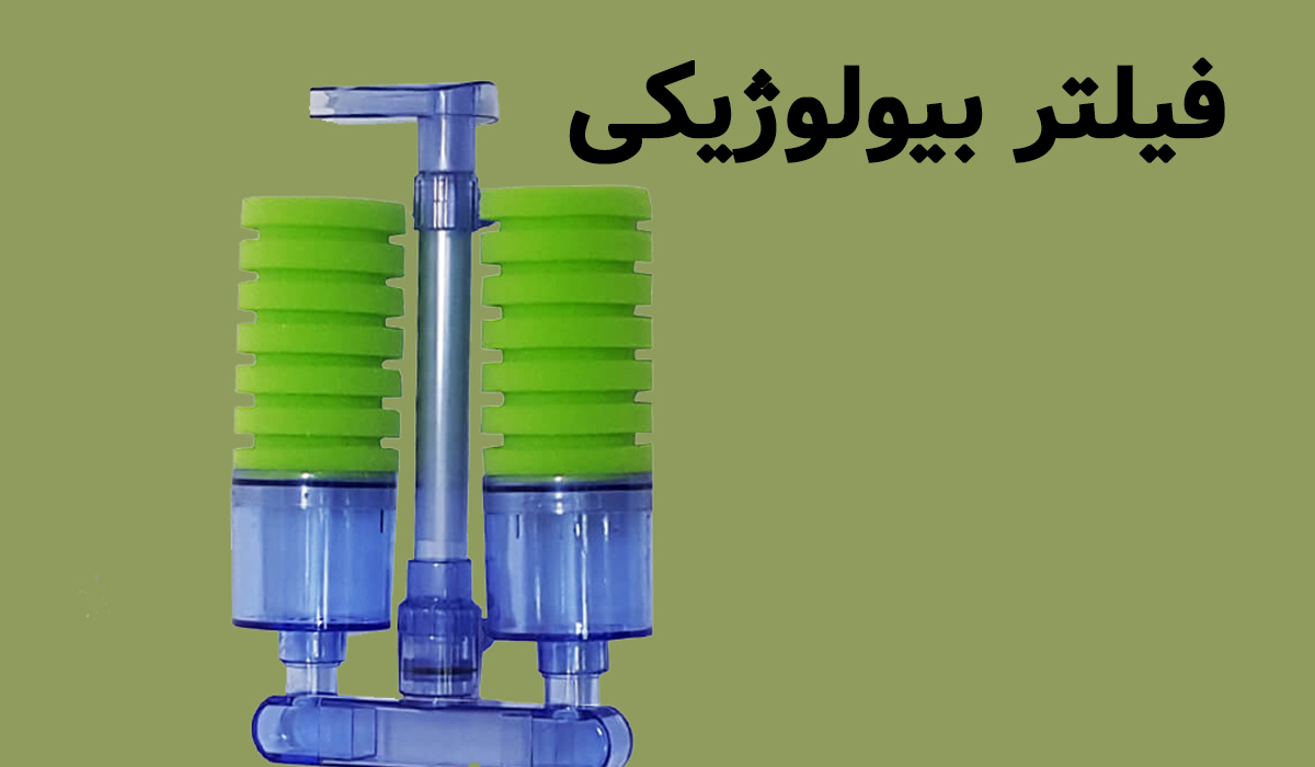 فیلتر بیولوژیکی